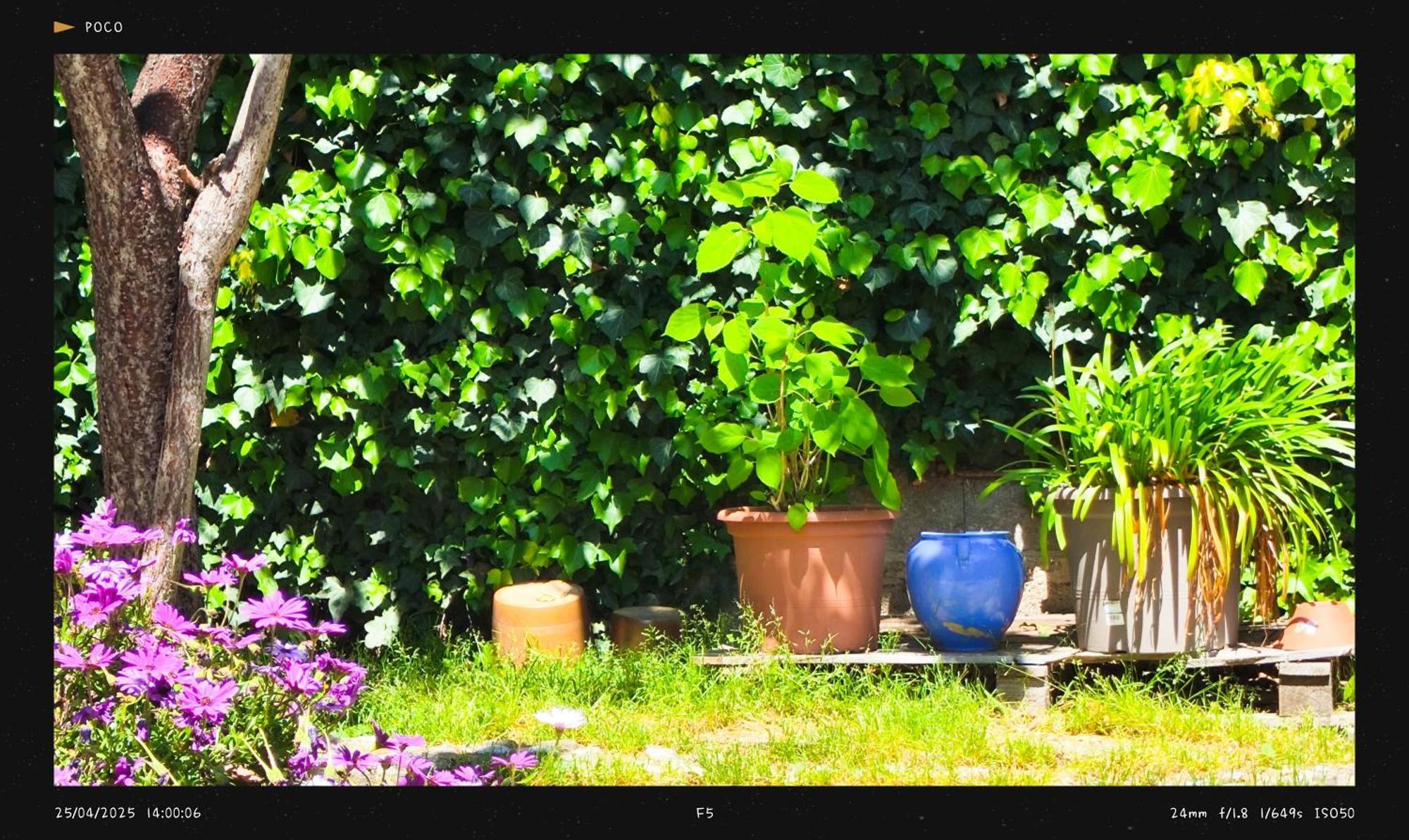 Appartamento Agnes Limoux Esterno foto