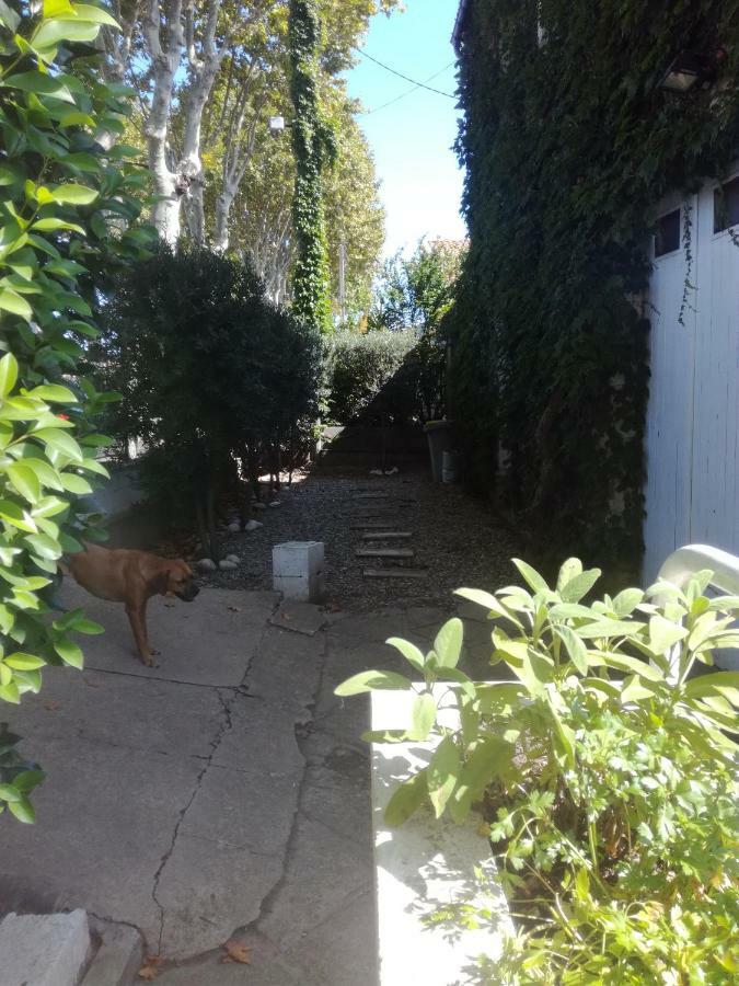 Appartamento Agnes Limoux Esterno foto
