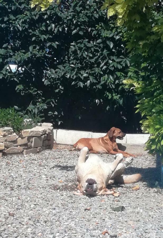 Appartamento Agnes Limoux Esterno foto